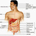 Cara Meningkatkan Fungsi Sistem Pencernaan Secara Alami