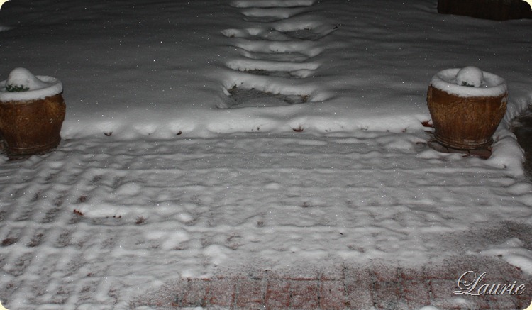 snow