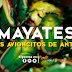 Mayates | Los avioncitos de antes | Cultura Hidalgo