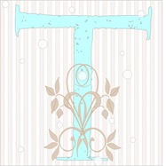 T icon winter