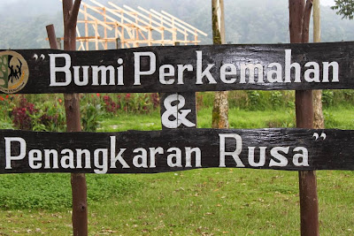 Bumi Perkemahan Ranca Upas Bandung