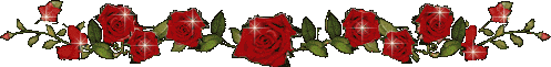separatore 4.