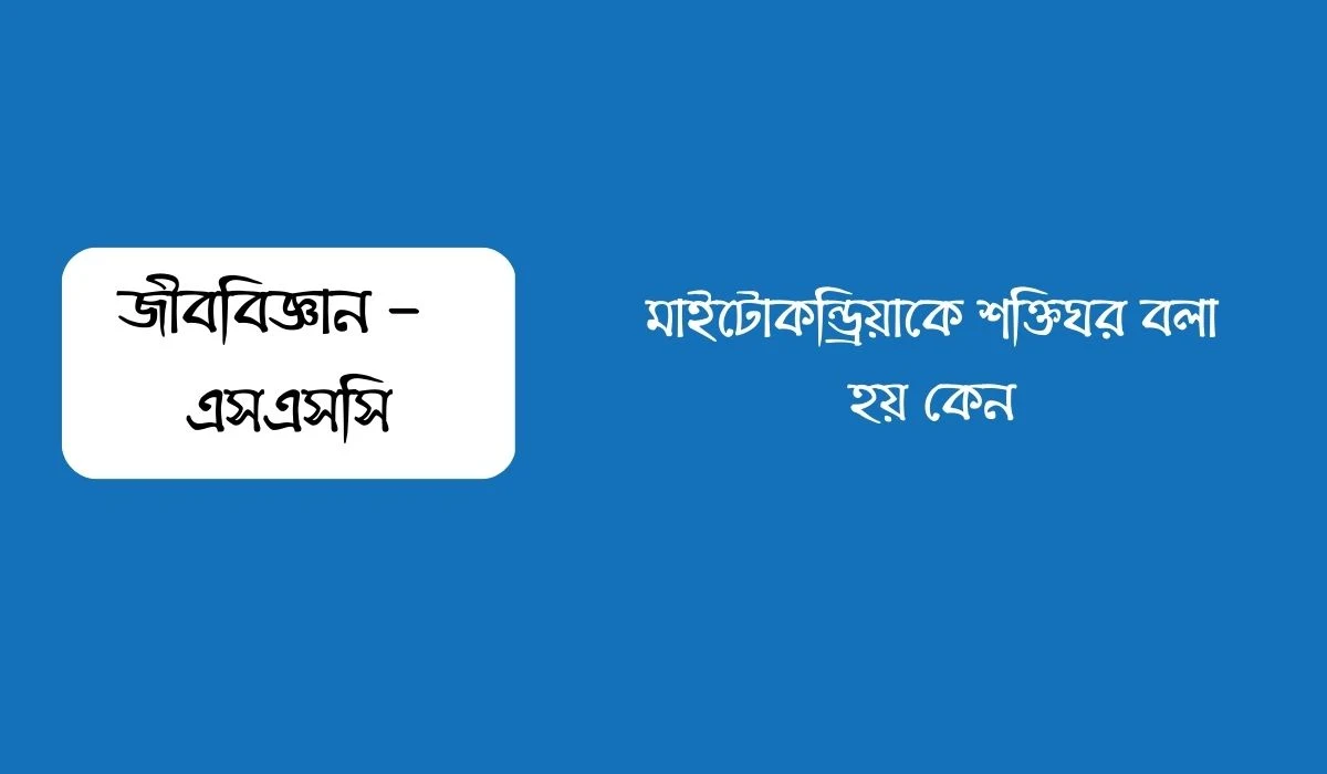 মাইটোকন্ড্রিয়াকে শক্তিঘর বলা হয় কেন