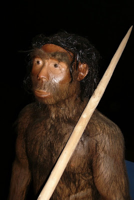 manusia_purba_Sinanthropus_Pekinensis