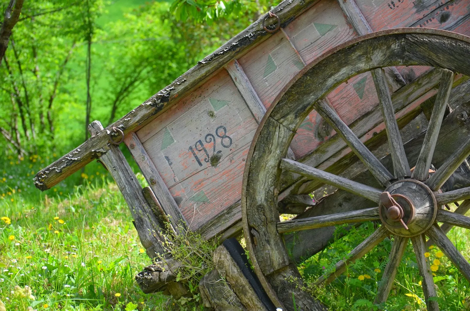 cycling marche italy bike rental in camerino