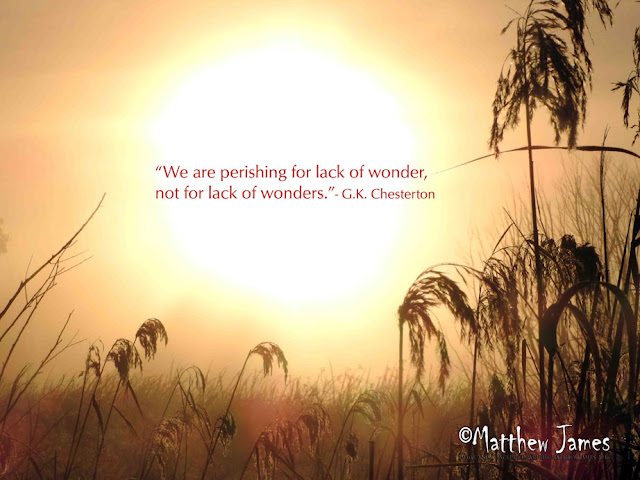 “We are perishing for lack of wonder, not for lack of wonders.” ― G.K. Chesterton 