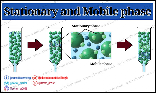 Stationary phase and Mobile phase