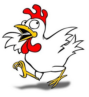  Ayam  Jago  Berontak dalam Kesendirian EDELWEIS