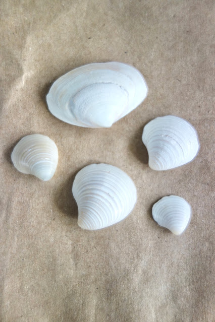 seashells, salt dough, Christmas ornaments, handmade ornaments, crafting with shells, crafting with salt dough, paint, yarn, beach souvenirs, travel souvenirs, photo by Claire Mercado-Obias