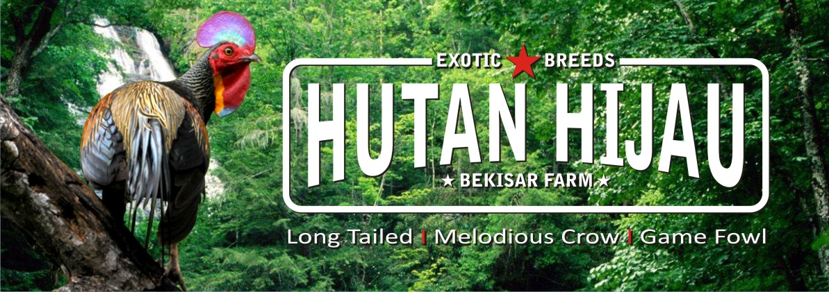 Hutan Hijau Bekisar Farm