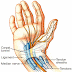 Conheça a Síndrome do túnel do carpo