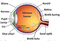 Alat Alat Optik