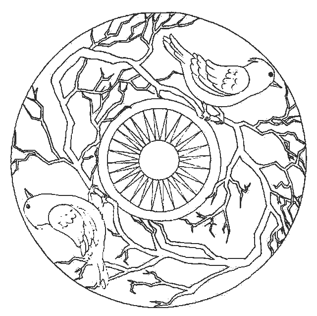 bird mandala free printable coloring pages coloring.filminspector.com