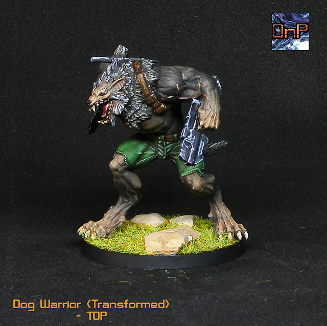 Imagen de Dog Warrior infinity