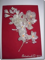 DSCN0011