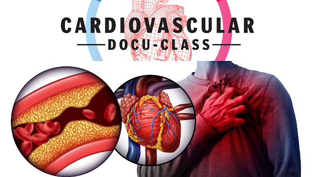 Cardiovascular Docu-Class