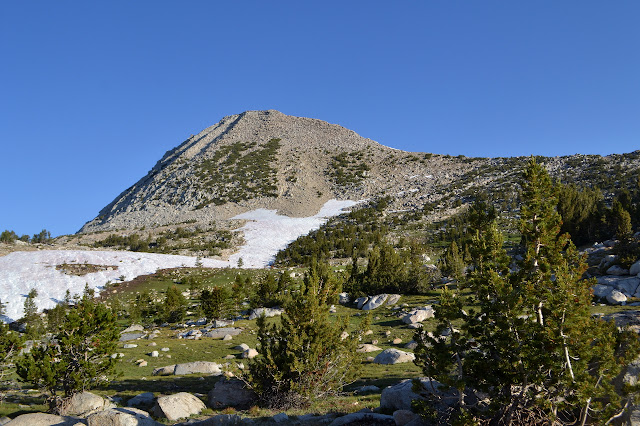 Pilot Knob above a tree and grass covered depression