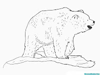 Mewarnai Gambar Beruang Besar
