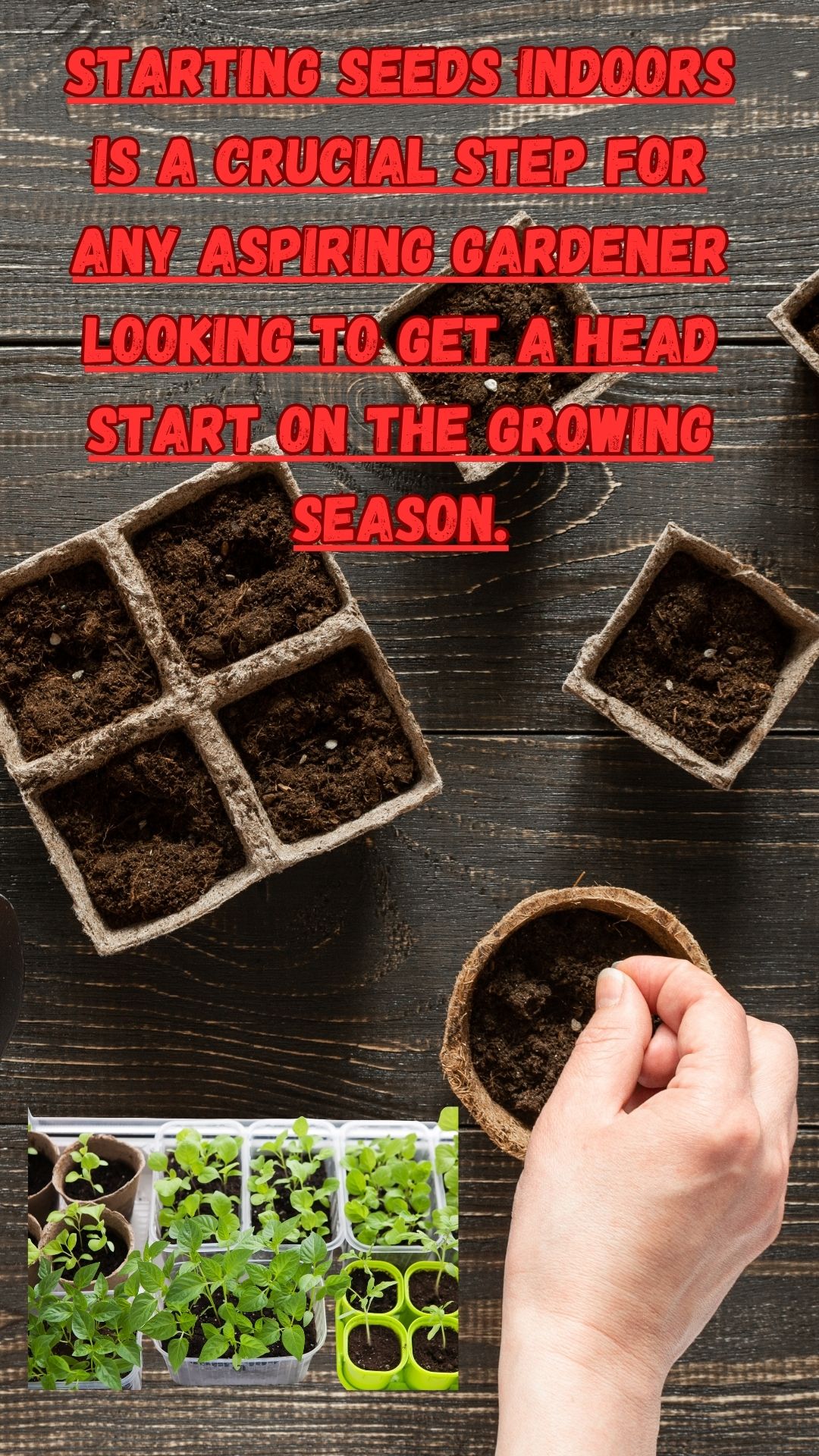 Starting seeds indoors is a crucial step for any aspiring gardener looking to get a head start on the growing season.