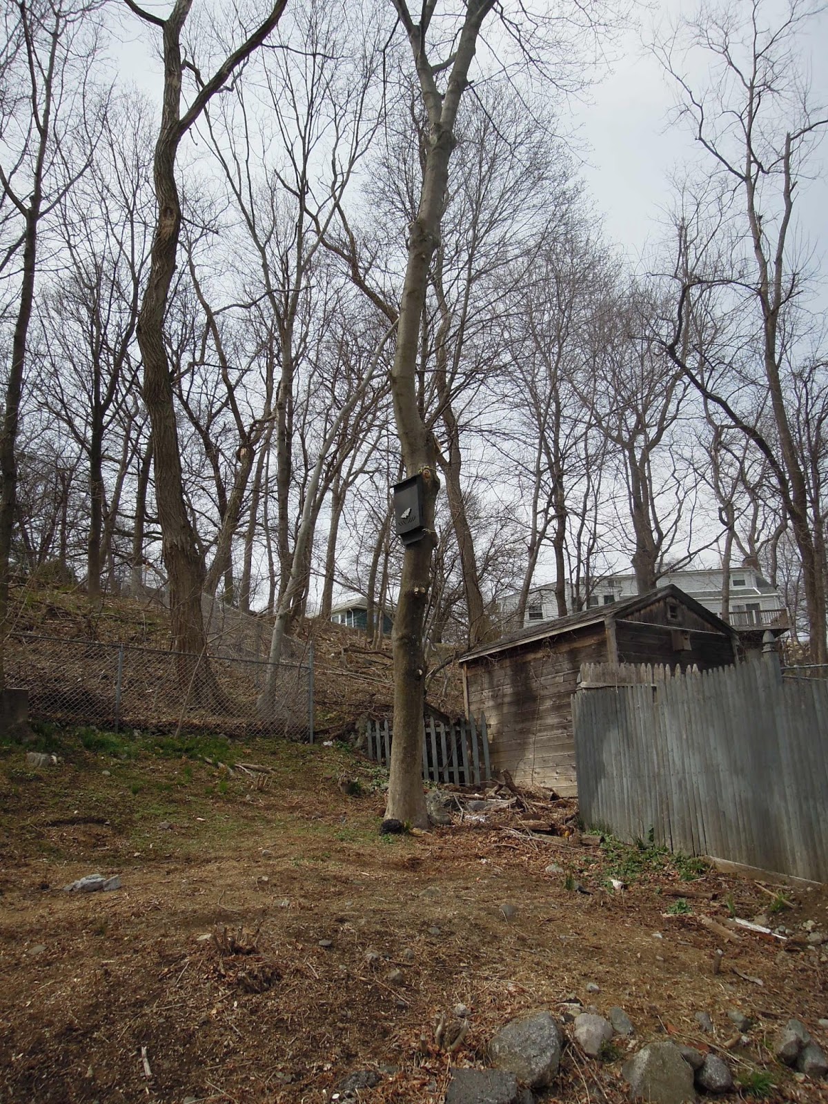 bat house