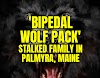 'Bipedal Wolf Pack' Stalked Family in Palmyra, Maine