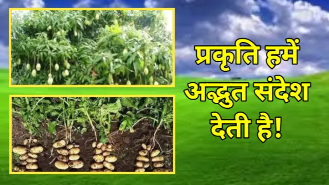 प्रकृति हमें अद्भुत संदेश देती है, Nature, प्रकृति, अभय कुमार जैन, abhay kumar jain, Nature's Special Massage