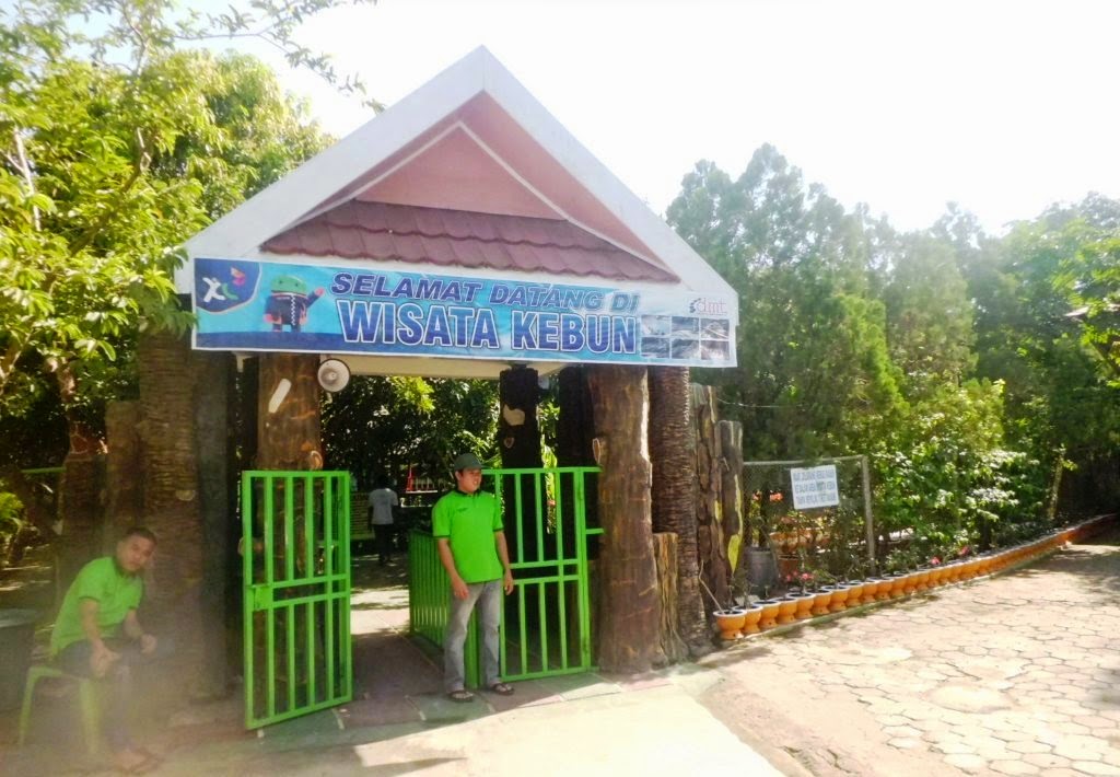 Wisata Kebun