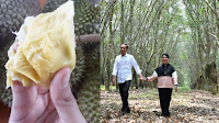 Presiden Jokowi Heran Ada Durian Mahal, Rasa Tak Enak