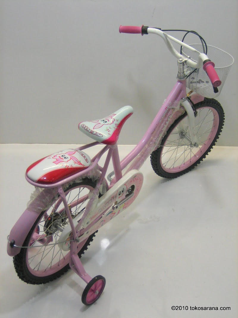 Frame Sepeda Anak Genio, Info Terpopuler!
