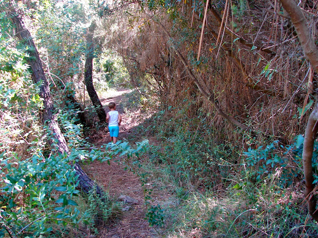 Barranco de Les Santes