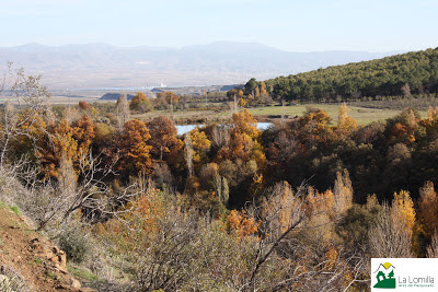 la lomilla jerez del marquesado barranco otoño vistas castaños alamos