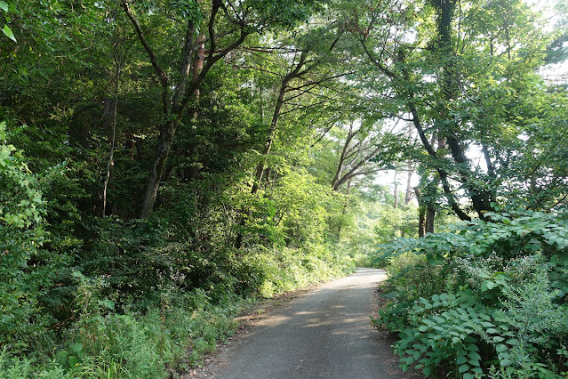 大山平原ゴルフクラブの裏道