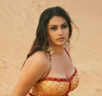 South Indian Actress, Hot and Sexy Namitha Gallery and Hot Pictures