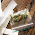 Marihuana sintética: ingenieros genéticos logran crear cannabinoides en el laboratorio por primera vez