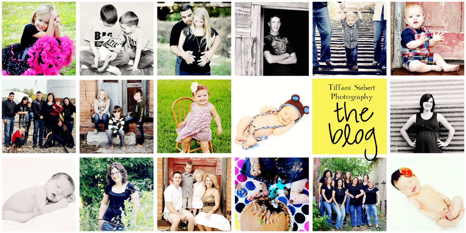 Tiffani Siebert Photography