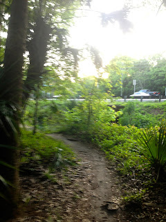 Soldier Creek Park bike path in Longwood, FL looking out at S.R. 17-92