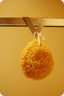 newsponge