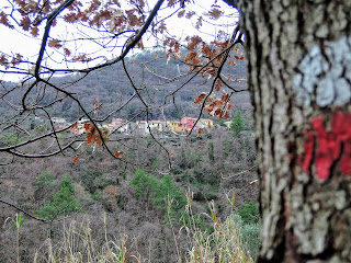 In vista di Biassa