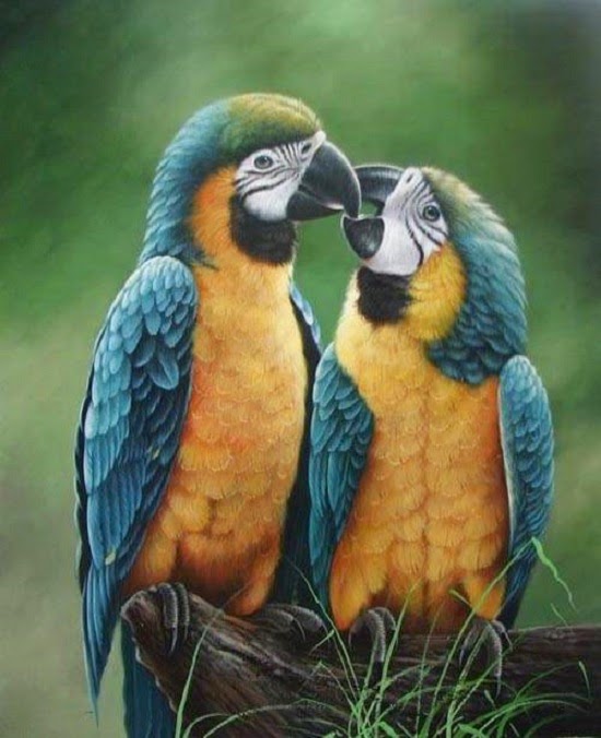  Lukisan  Burung  Bird Painting GAMBAR  LUKISAN 