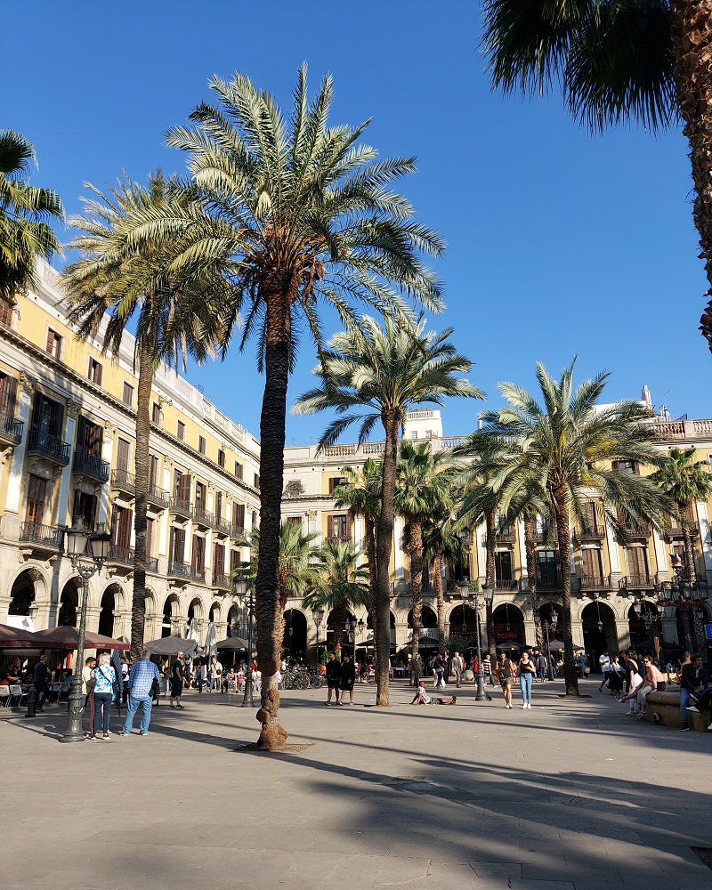 Palm trees and blue skies at Placa Reial in Barcelona