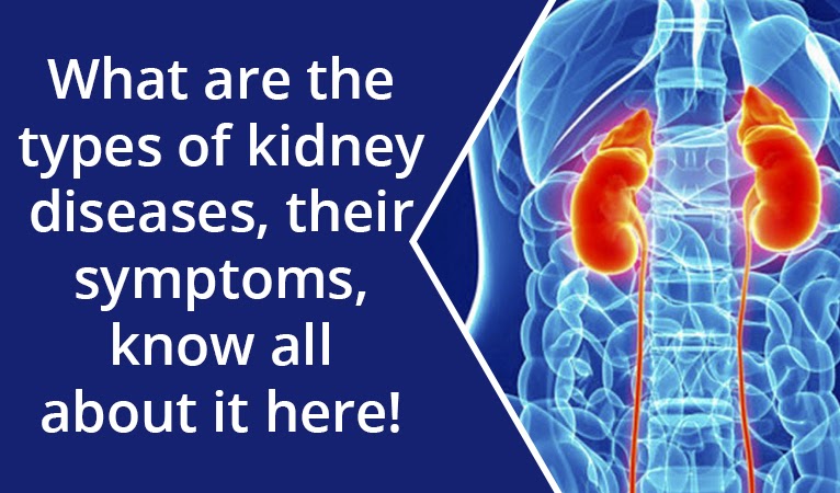 What are the types of kidney diseases, their symptoms, know all about it here!