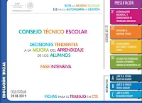 Guía CTE 2018 -Fase Intensiva - Educación Inicial