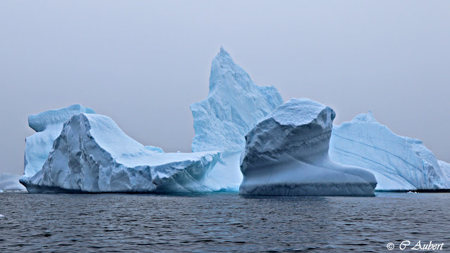 Iceberg, Savissivik, Groenland