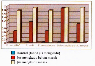 jus mengkudu indonesia