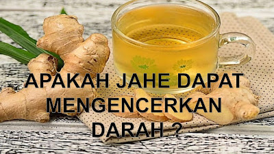 Jahe Dapat Mengencerkan Darah Dalam Tubuh