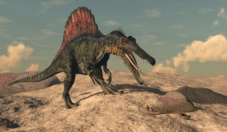 Spinosaurus, Hewan Karnivora Terbesar di Muka Bumi