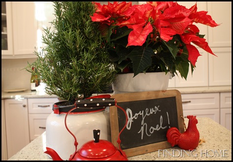christmas around the house 107