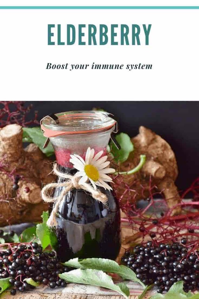 Elderberry To Boost Your Immune System