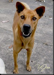 IMG_2359 IMG_2359