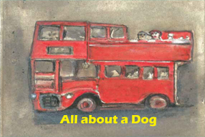 All about a Dog - Textual Questions and Answers